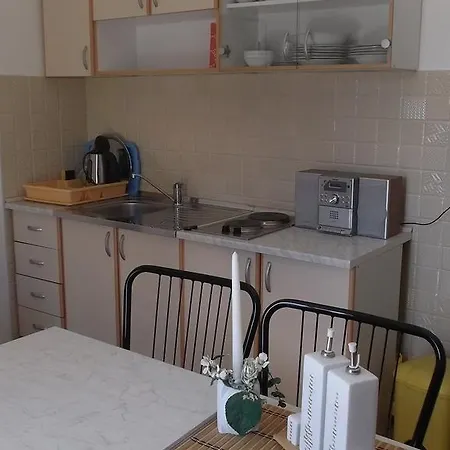 公寓 Marija Near Center 沃迪切