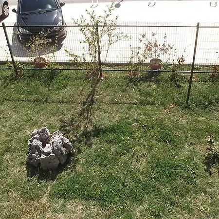 Marija Near Center *