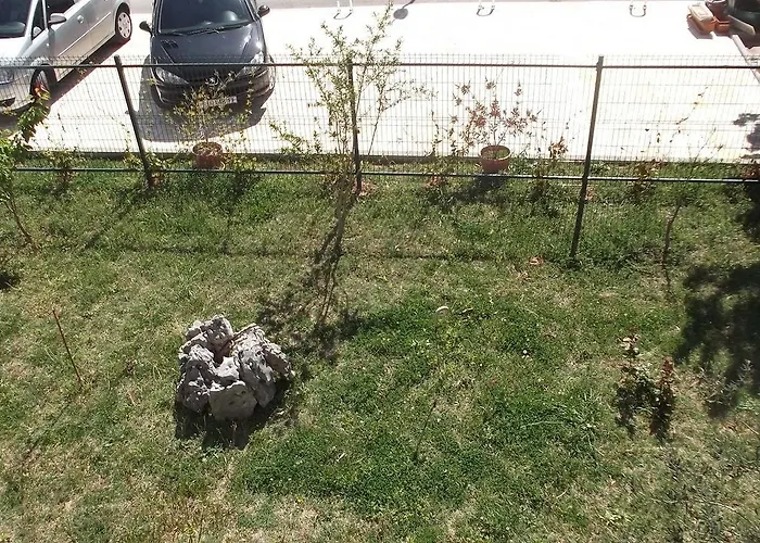 Marija Near Center *